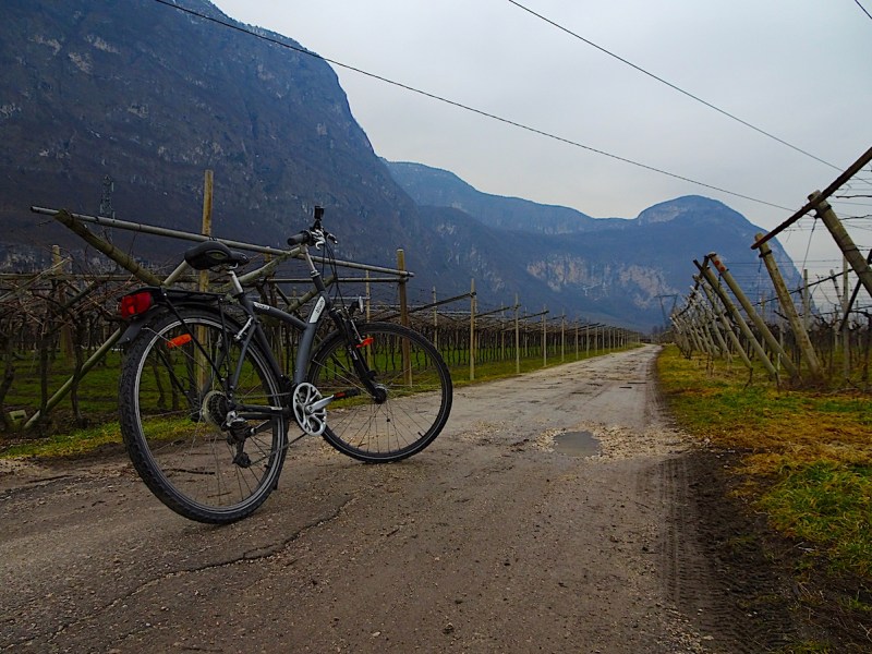 ENDRIZZI: cantina con effetto&nbsp;wow